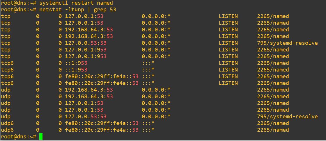 Cài đặt DNS Server trên Ubuntu 22.04: External Network - grep port 53
