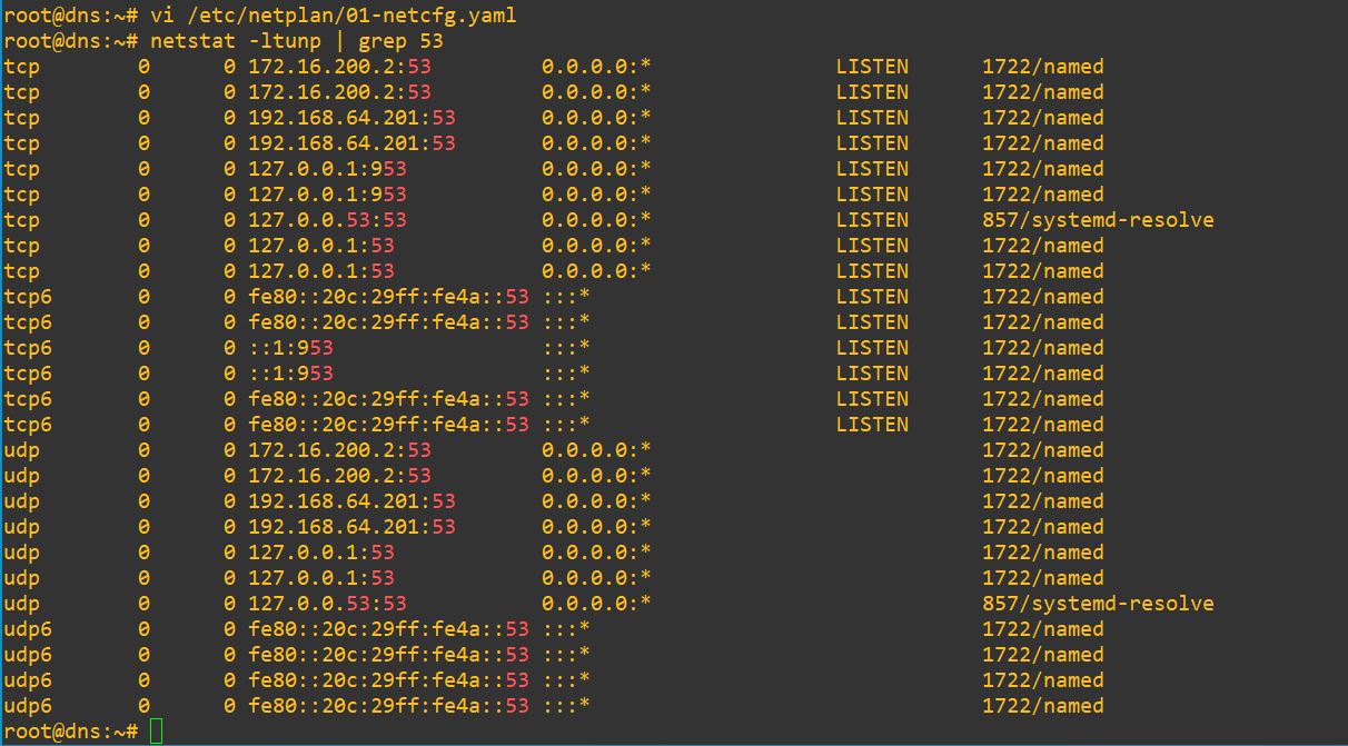 Cài đặt DNS Server trên Ubuntu 22.04: Internal Network grep port 53